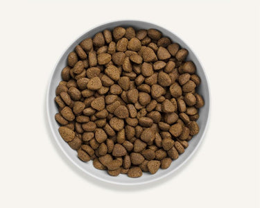 Canagan Free Range Chicken Dry Dog Food - 12kg